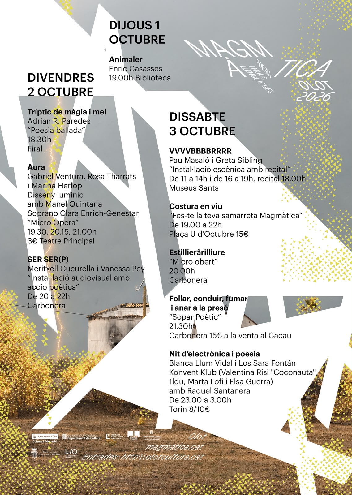Cartell Magmàtica